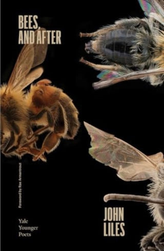 Cover image for 9780300279412 - Bees, and After
