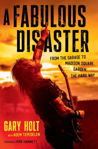 Cover image for 9780306834011 - A Fabulous Disaster
