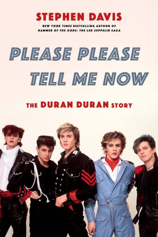 Cover image for 9780306846083 - Please Please Tell Me Now