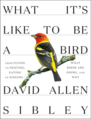 Cover image for 9780307957894 - What It's Like to be a Bird