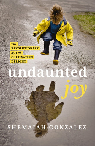 Cover image for 9780310163176 - Undaunted Joy
