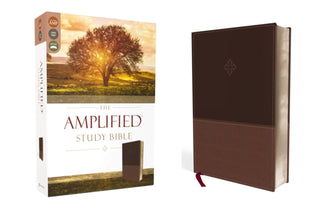 Supplemental image for 9780310440802 - The Amplified Study Bible, Leathersoft, Brown
