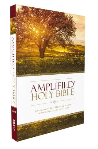 Cover image for 9780310443902 - Amplified Holy Bible, Paperback