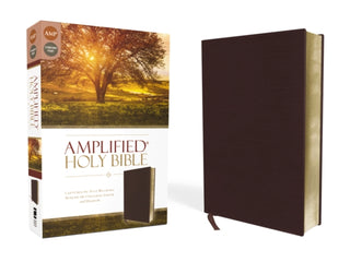 Cover image for 9780310443940 - Amplified Holy Bible, Bonded Leather, Burgundy