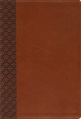 Cover image for 9780310468936 - Amplified Holy Bible, Large Print, Leathersoft, Brown