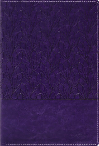 Cover image for 9780310468943 - Amplified Holy Bible, Large Print, Leathersoft, Purple
