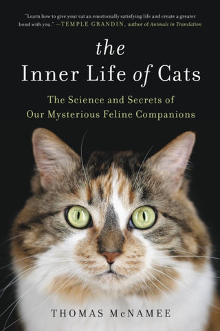 Cover image for 9780316262903 - The Inner Life of Cats