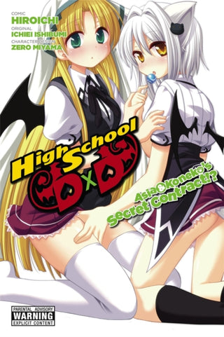 Cover image for 9780316334853 - High School DXD: Asia & Koneko's Secret Contract!?