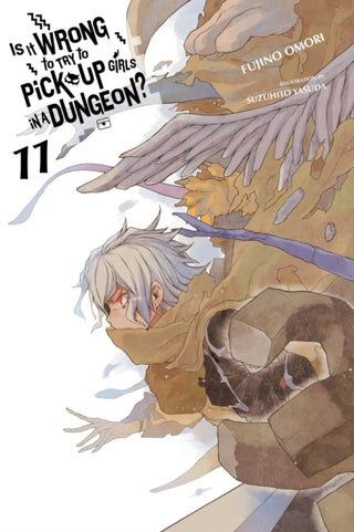 Cover image for 9780316442473 - Is It Wrong to Try to Pick Up Girls in a Dungeon?, Vol. 11 (light novel)