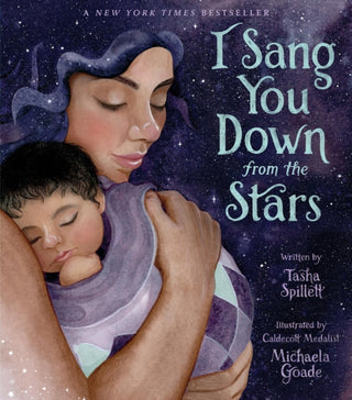 Cover image for 9780316493161 - I Sang You Down from the Stars