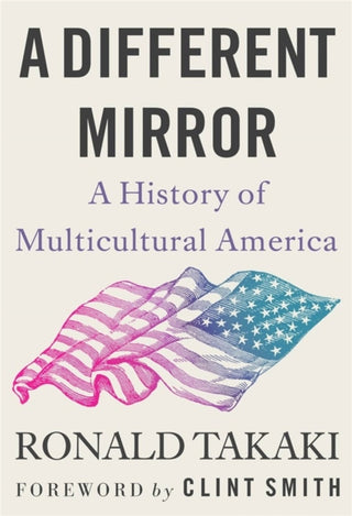 Cover image for 9780316499071 - A Different Mirror