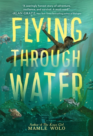 Cover image for 9780316703963 - Flying Through Water