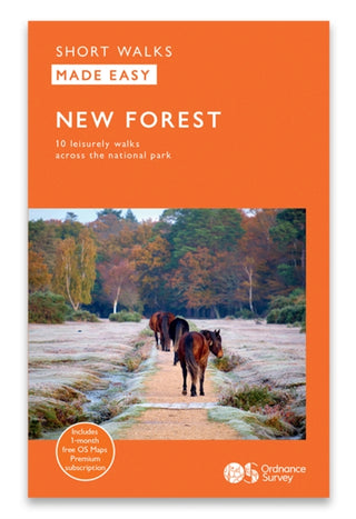 Cover image for 9780319092767 - New Forest