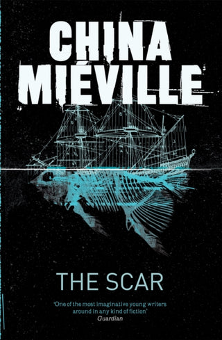 Supplemental image for 9780330534314 - The Scar