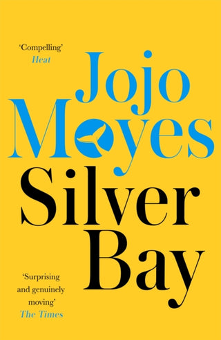 Cover image for 9780340895931 - Silver Bay