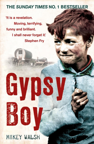 Supplemental image for 9780340977989 - Gypsy Boy