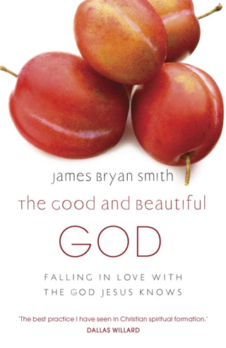 Cover image for 9780340996027 - The Good and Beautiful God
