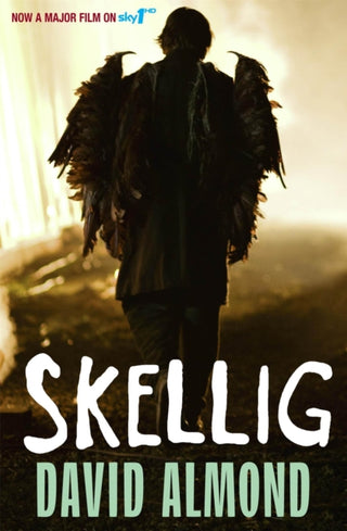 Supplemental image for 9780340997048 - Skellig