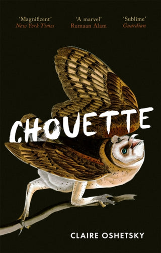 Cover image for 9780349014890 - Chouette