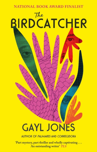 Supplemental image for 9780349016863 - The Birdcatcher