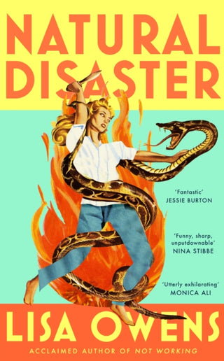 Cover image for 9780349020235 - Natural Disaster