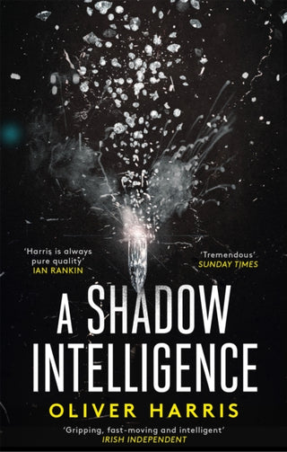 Cover image for 9780349142968 - A Shadow Intelligence