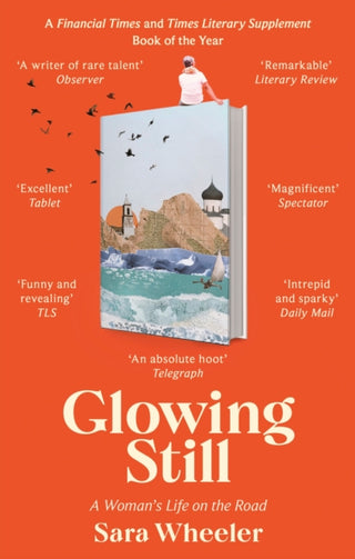 Supplemental image for 9780349145105 - Glowing Still
