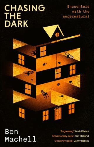 Cover image for 9780349146829 - Chasing the Dark