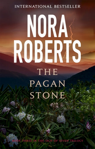 Cover image for 9780349412290 - The Pagan Stone