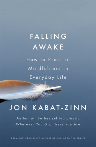 Cover image for 9780349421094 - Falling Awake