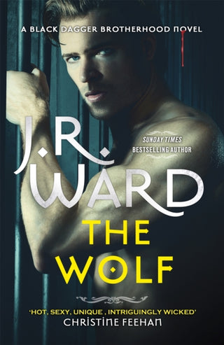 Supplemental image for 9780349430737 - The Wolf