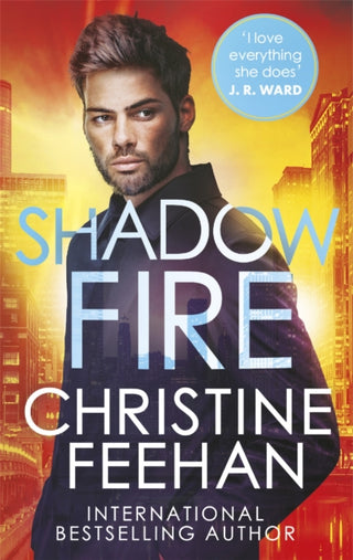 Cover image for 9780349432489 - Shadow Fire