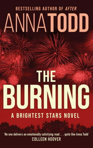Cover image for 9780349435091 - The Burning