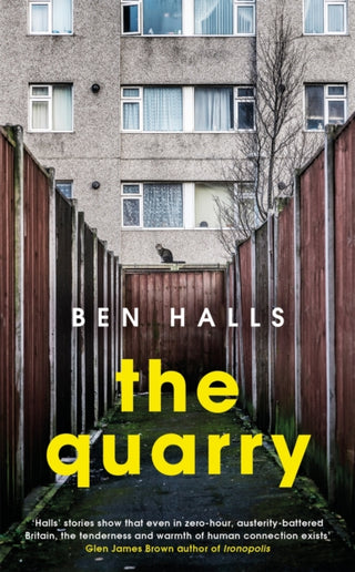 Cover image for 9780349701103 - The Quarry