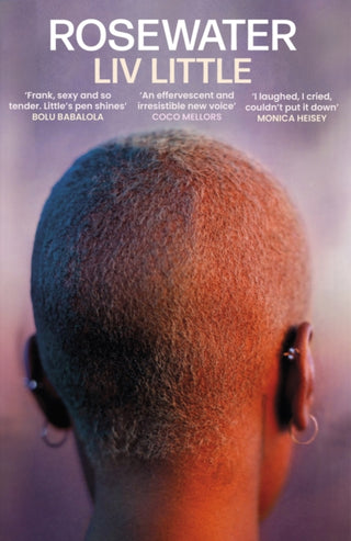 Cover image for 9780349702957 - Rosewater