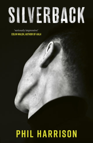 Cover image for 9780349727974 - Silverback