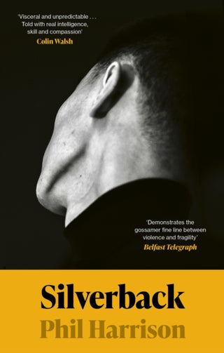 Cover image for 9780349728001 - Silverback