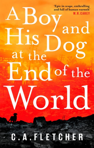 Supplemental image for 9780356510934 - A Boy and his Dog at the End of the World