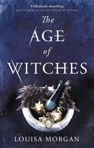 Cover image for 9780356512587 - The Age of Witches