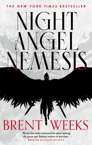 Cover image for 9780356520469 - Night Angel Nemesis