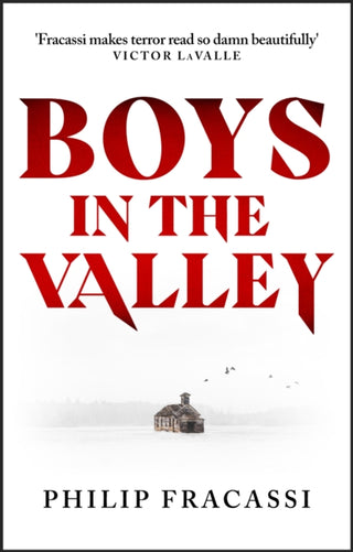 Cover image for 9780356520551 - Boys in the Valley
