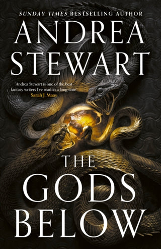 Cover image for 9780356520674 - The Gods Below