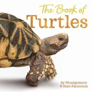 Cover image for 9780358458074 - The Book of Turtles