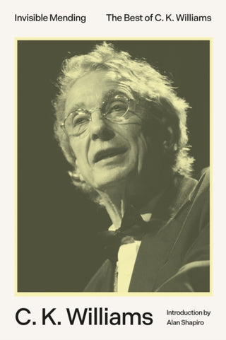 Cover image for 9780374608392 - Invisible Mending