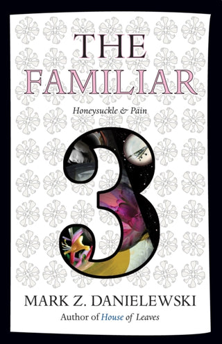 Cover image for 9780375714986 - The Familiar, Volume 3