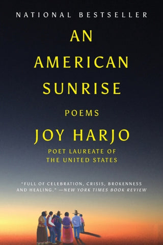 Cover image for 9780393358483 - An American Sunrise