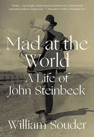 Cover image for 9780393868326 - Mad at the World