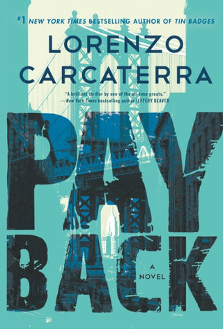Cover image for 9780399177590 - Payback