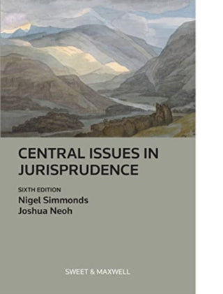 Cover image for 9780414104129 - Central Issues in Jurisprudence