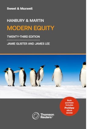 Supplemental image for 9780414119857 - Hanbury & Martin Modern Equity